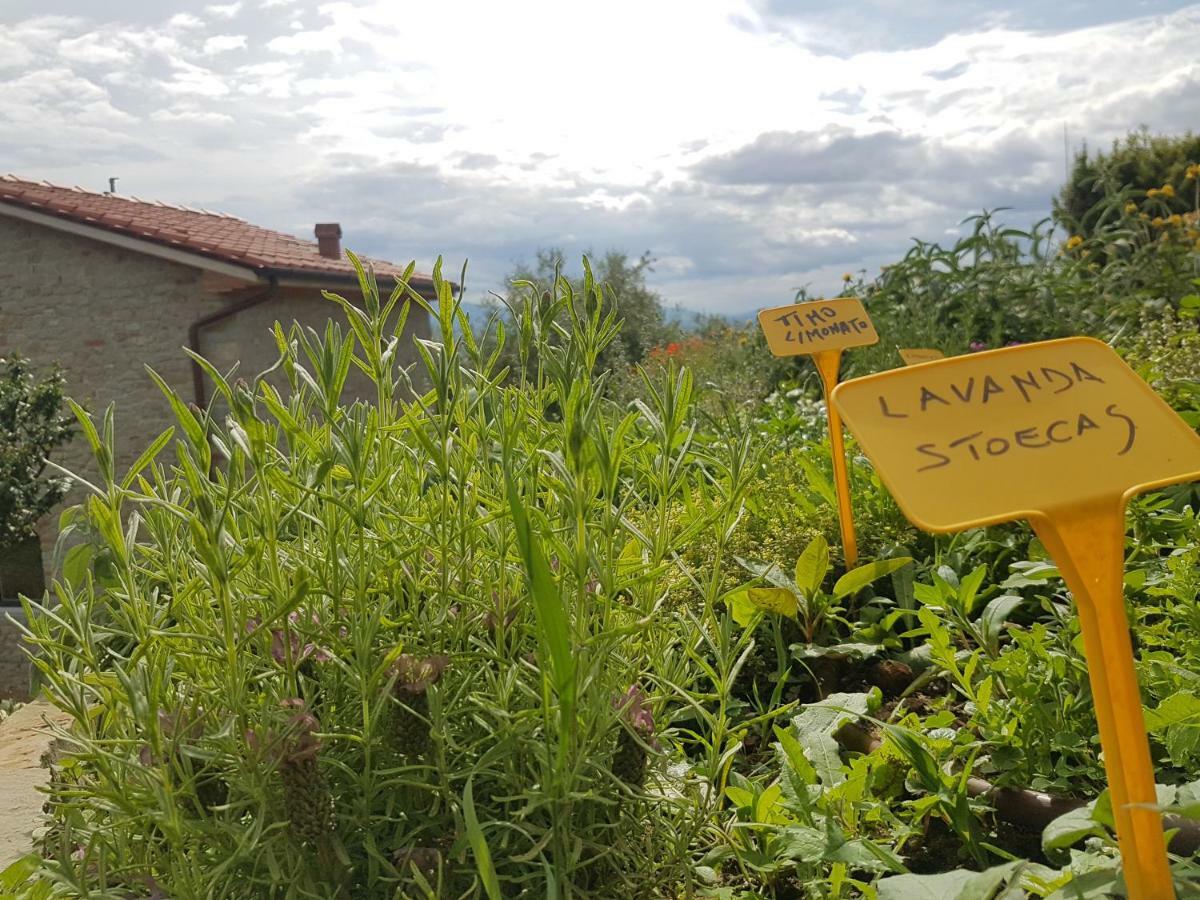 Il Fienile De La Cavallina Larciano Extérieur photo